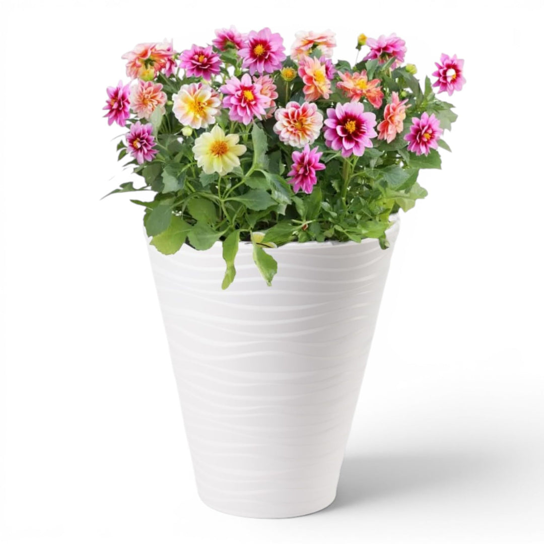 MELTOM Blumenkübel Blumentopf Rund 3D Effekt Slim Weiss Pflanzkübel mit Herausnehmbaren Einsatz (L),