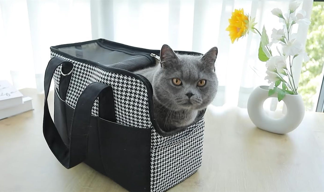 Grosse Tragetasche für Hunde und Katzen bis 5 kg – Hundetasche Öffnung Oben, atmungsaktiv, tragbar,