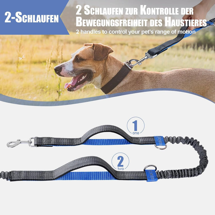Snocyo Joggingleine Hunde, Jogging Hundeleine für Mittelgrosse und Grosse Hunde, Elastische und Refl