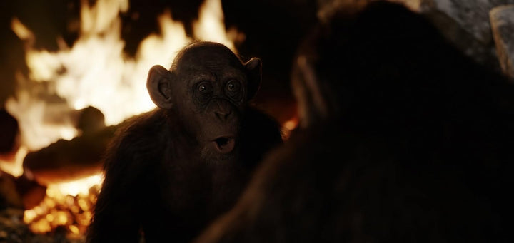 Planet der Affen: Survival [4k Ultra-HD + Blu-Ray] (War for the Planet of the Apes, Spanien Import,