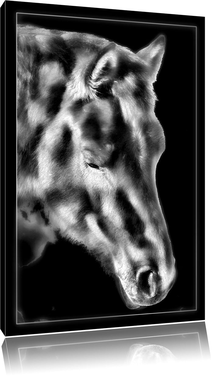 Pixxprint majestätisches Pferd als Leinwandbild/Grösse: 100x70 cm/Wandbild/Kunstdruck/fertig bespann