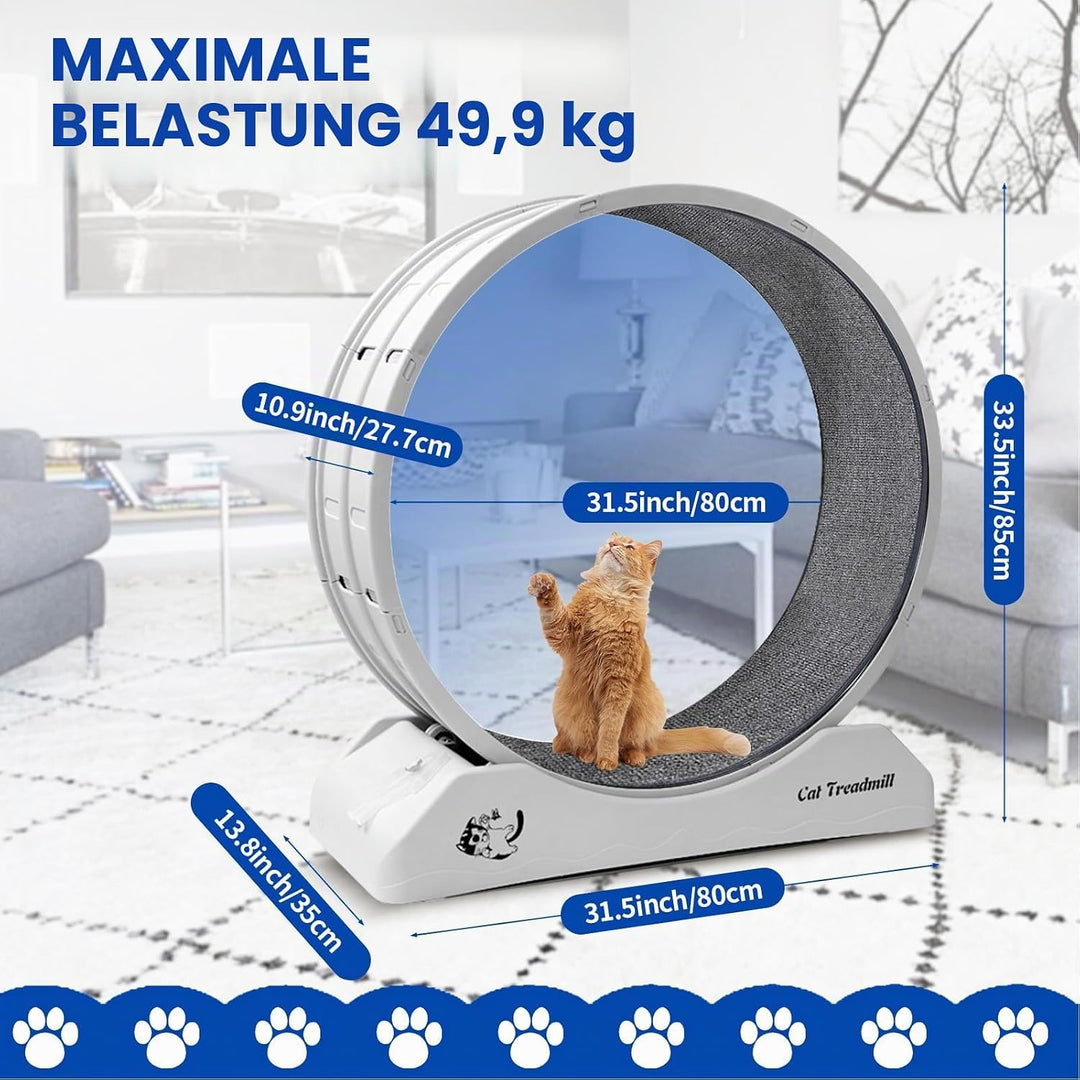 homegroove 31,5 Zoll Katzenräder für Indoor-Katzen, Plastik Katze Übung Laufband Rad mit Teppich Sta