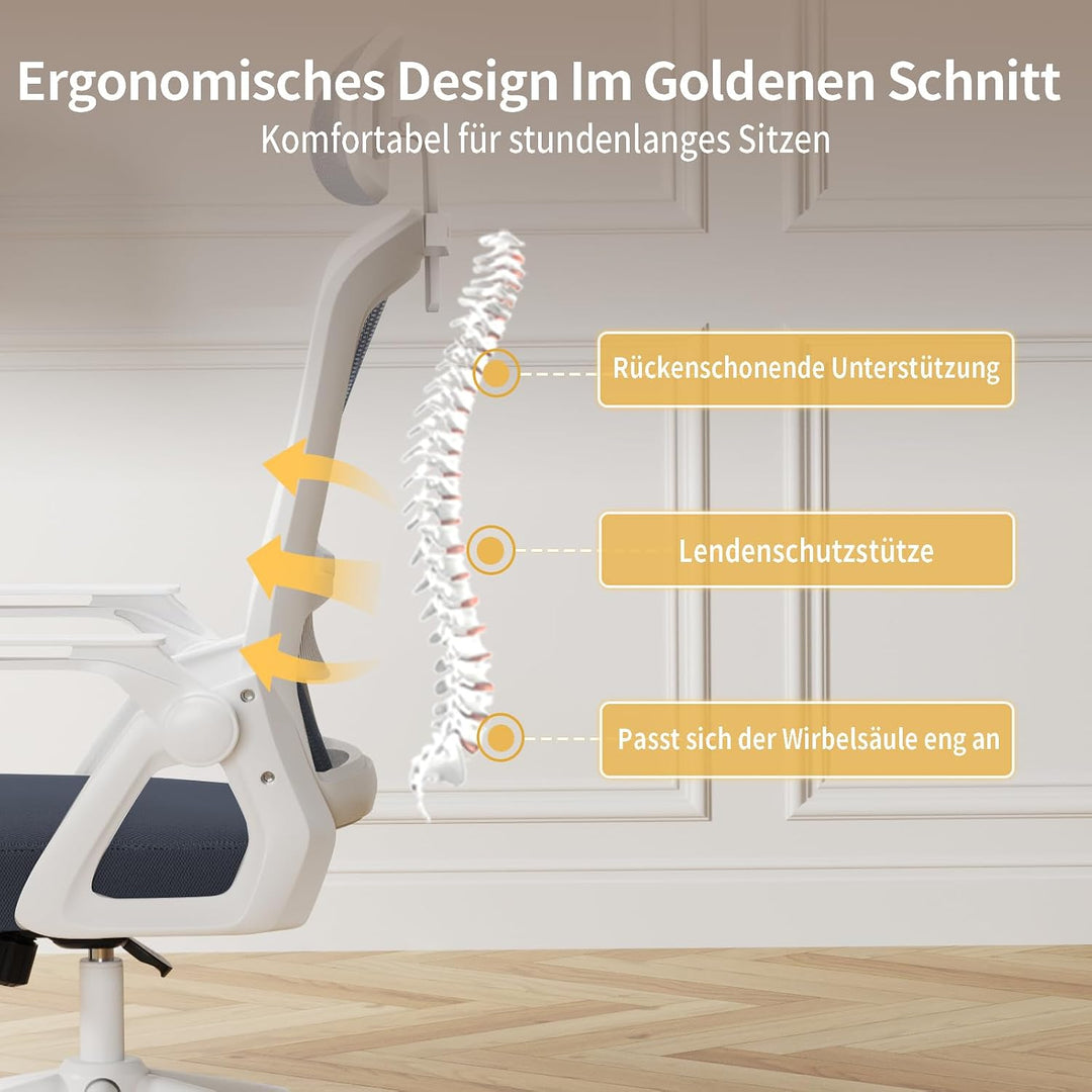 naspaluro Ergonomischer Bürostuhl, Schreibtischstuhl für Homeoffice | Mit Lordosenstütze &amp; verstellb