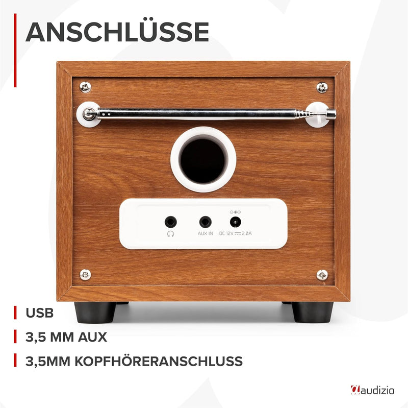 Audizio Vieste - DAB Radio mit Bluetooth, Digitalradio, 60 Watt Lautsprecher, DAB Plus Radio mit USB