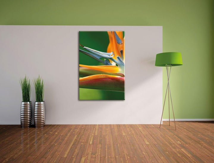 Tropische Blume, Format: 100x70 auf Leinwand, XXL riesige Bilder fertig gerahmt mit Keilrahmen, Kuns