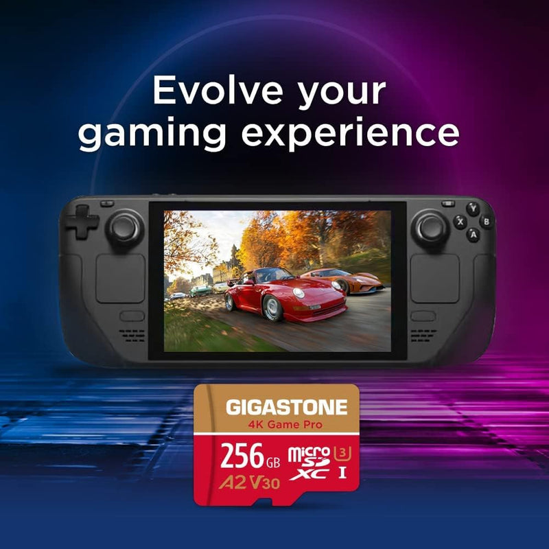 [5 Jahre kostenlose Datenwiederherstellung] Gigastone 4K Game Pro 256GB MicroSDXC Speicherkarte 2er-