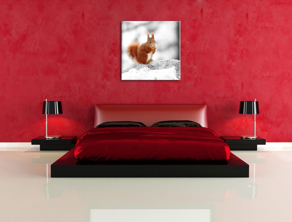 Pixxprint Eichhörnchen in verschneitem Wald als Leinwandbild/Grösse: 70x70 cm/Wandbild/Kunstdruck/fe