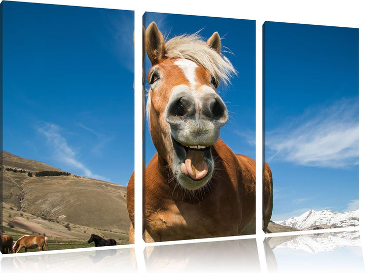 Pixxprint Lustiges Pferd in der Natur als Leinwandbild - Grösse: 3-Teilig (120x80cm) - Wandbild - Ku