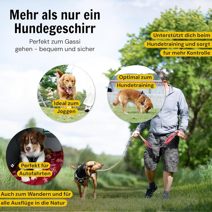 Hundefreund Hundegeschirr für Kleine Hunde – Reflektierend, Gepolstert &amp; Verstellbar – Anti-Zug Gesc