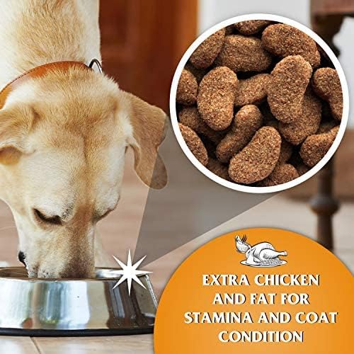 Complete Hund Food - 15k Dr John Gold Medal