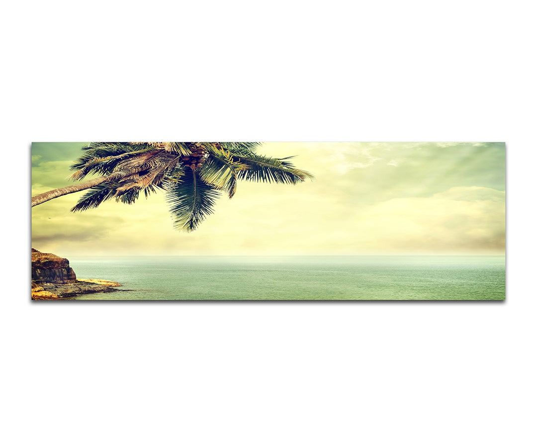 Paul Sinus Art Panoramabild auf Leinwand und Keilrahmen 150x50cm Strand Meer Palme Felsen Vintage
