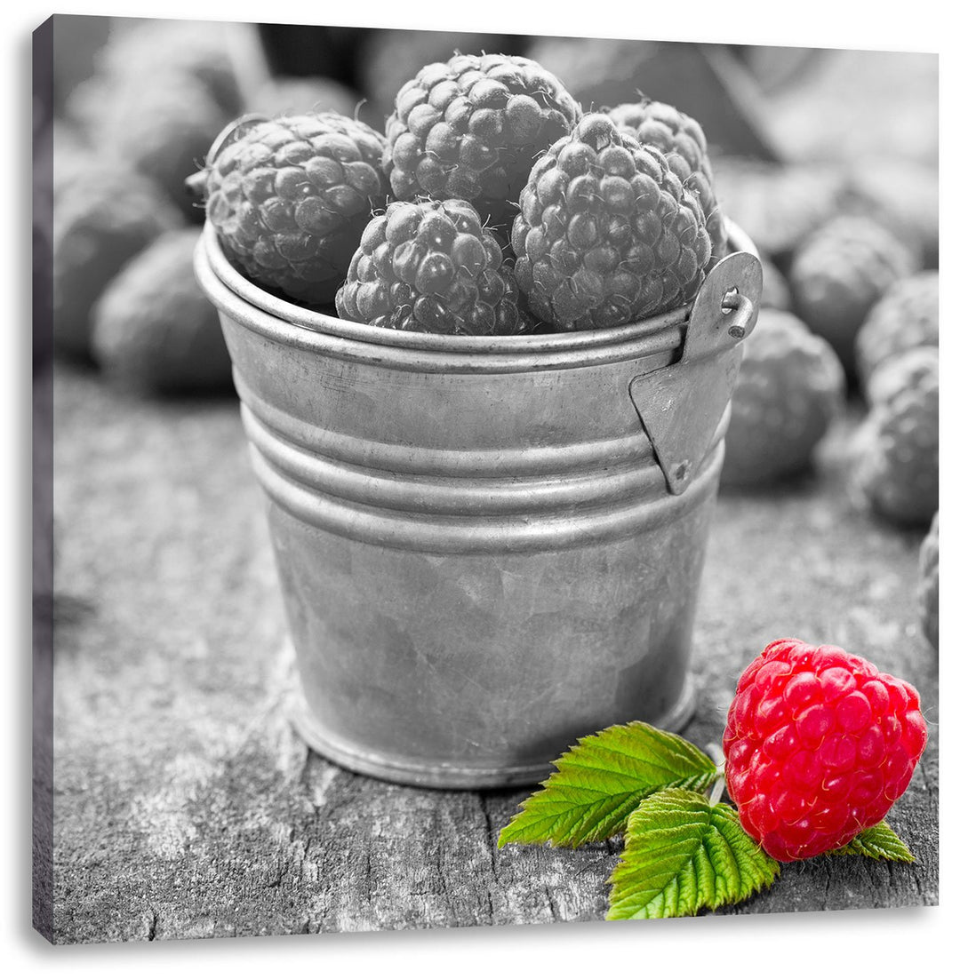 Pixxprint Früchte Eimer Obst Fruit Food als Leinwandbild/Grösse: 70x70 cm/Wandbild/Kunstdruck/fertig