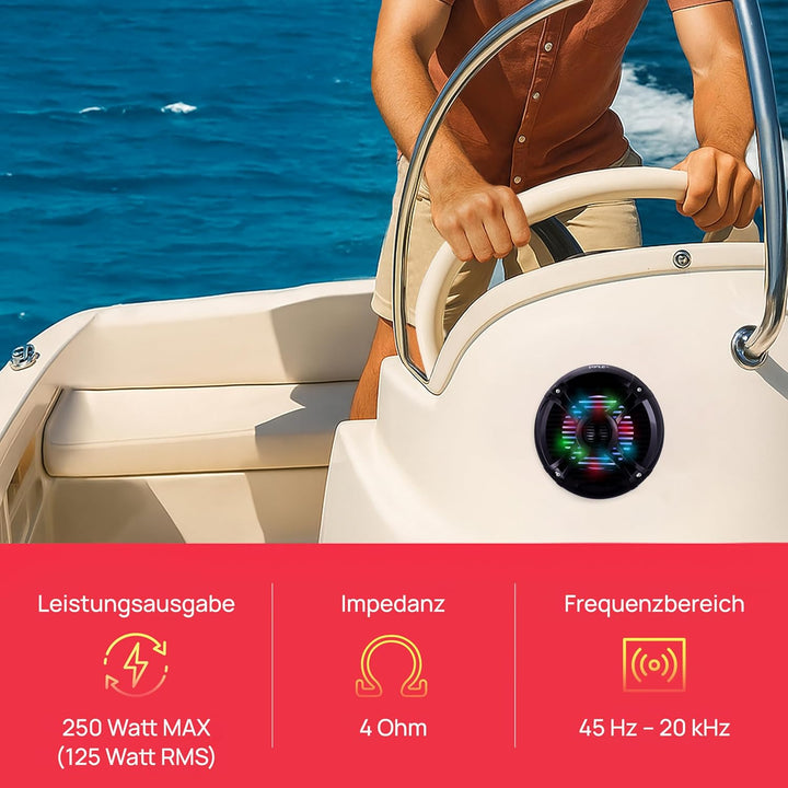 Pyle Outdoor Lautsprecher Boxen– Outdoor Speaker– Outdoor Box Wasserdicht 250W, 2-Wege Lautsprecher