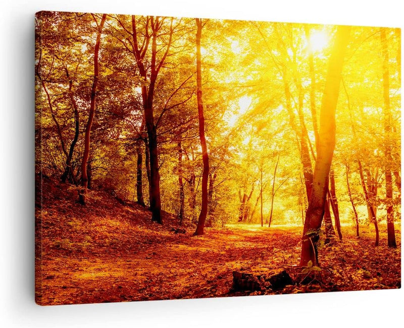 Bilder auf Leinwand Wald Baum Natur Leinwandbild mit Rahmen 70x50cm Wandbilder Dekoration Wohnzimmer