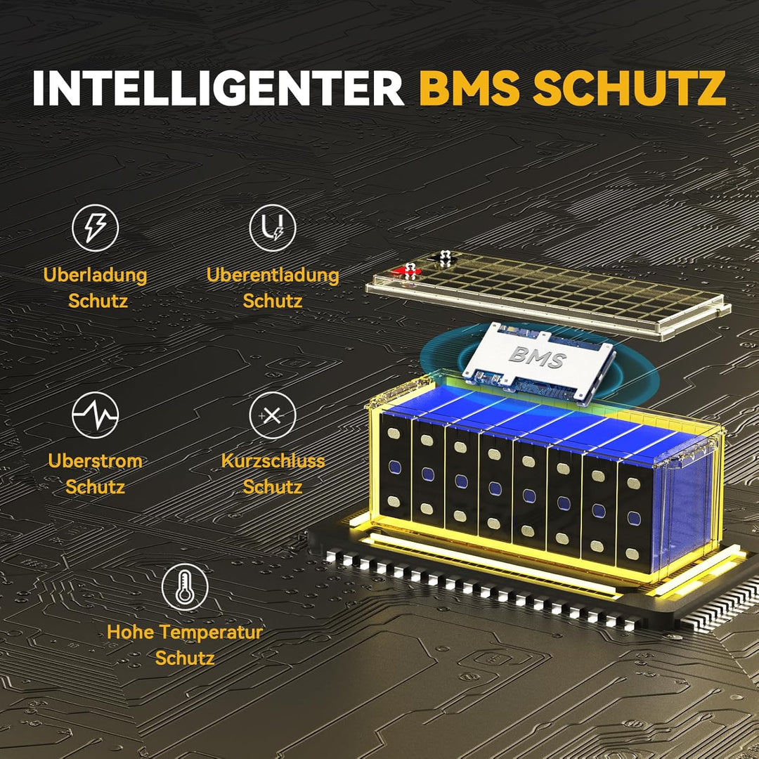Power Queen 25.6 V 100 Ah 2.56 kWh tiefe Zyklus-LiFePO4-Batterie mit langem Leben, über 4000-Zyklen,