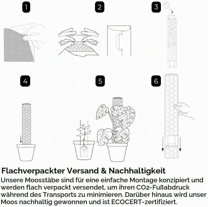 XL Moosstab für Monstera 4 x 63 cm - Erweiterbare Monstera Rankhilfe &amp; Zubehör-Set - Pflanzstäbe mit