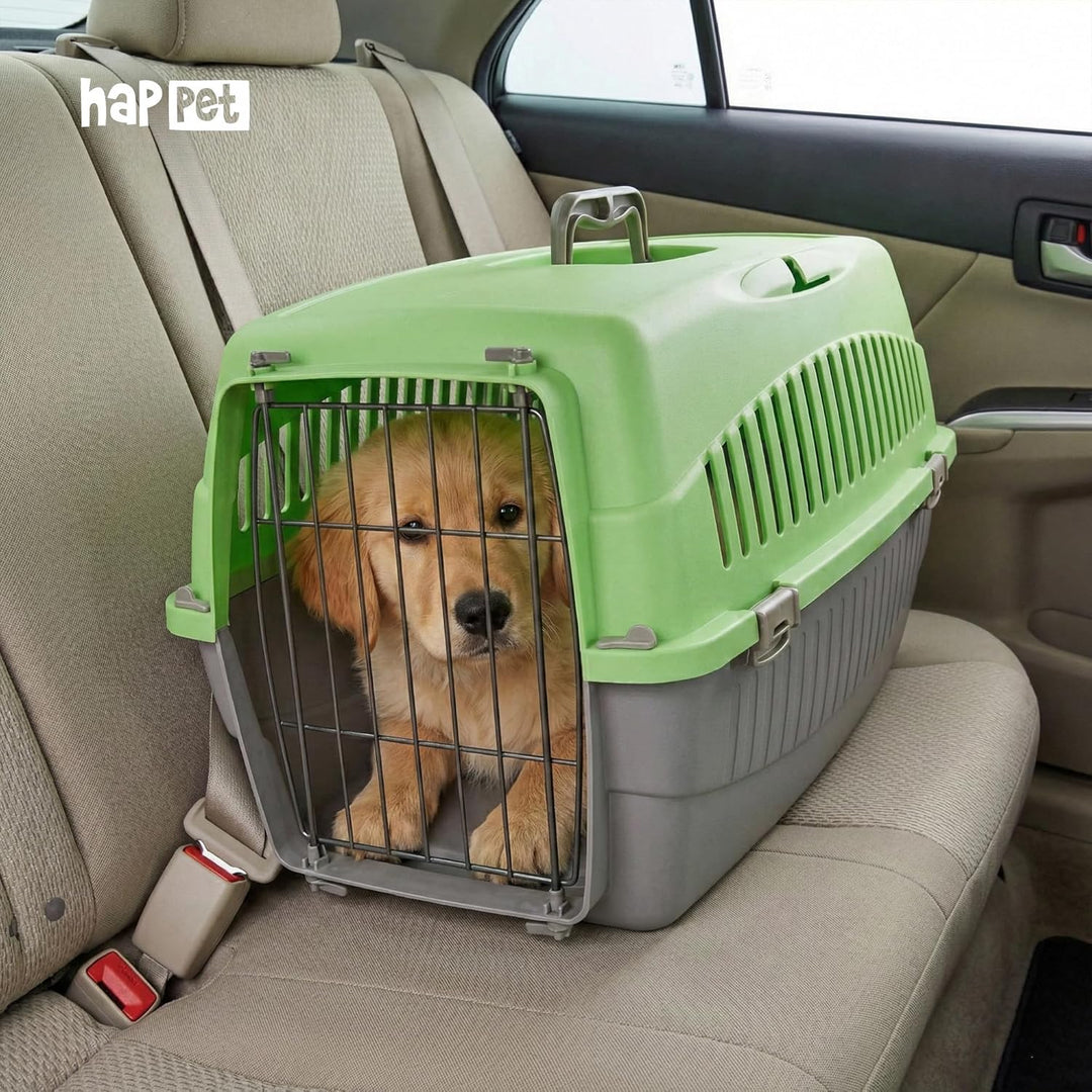 HAPPET Tiertransportbox Doggy M Grün-Grau 54x38x33 cm – Robuste, gut belüftete Transportbox aus Kuns