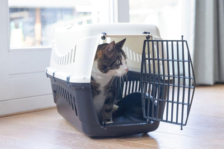 Transportbox Transportkäfig Tragebox für kleine Hunde und grosse Katzen 58x58x38cm