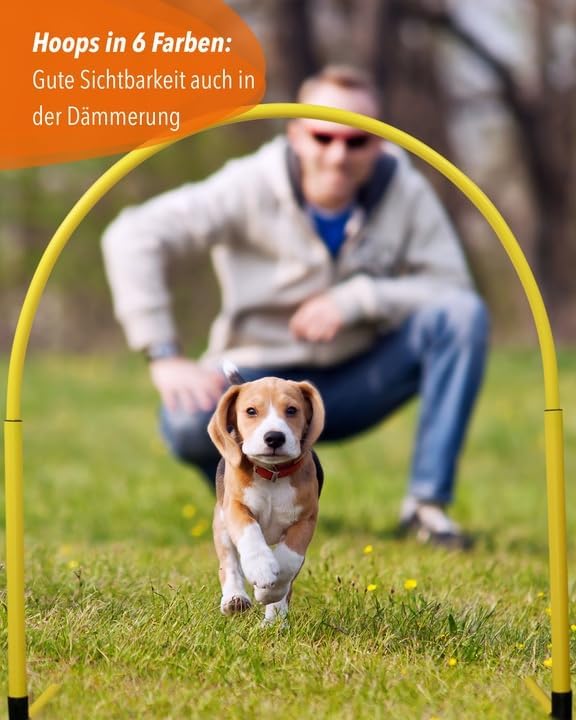 Hoopers Anfänger‑Set – 4 Hoops & Gate – VDH‑konform, UV‑beständig & flexibel – Blaue Hoops mit bunte