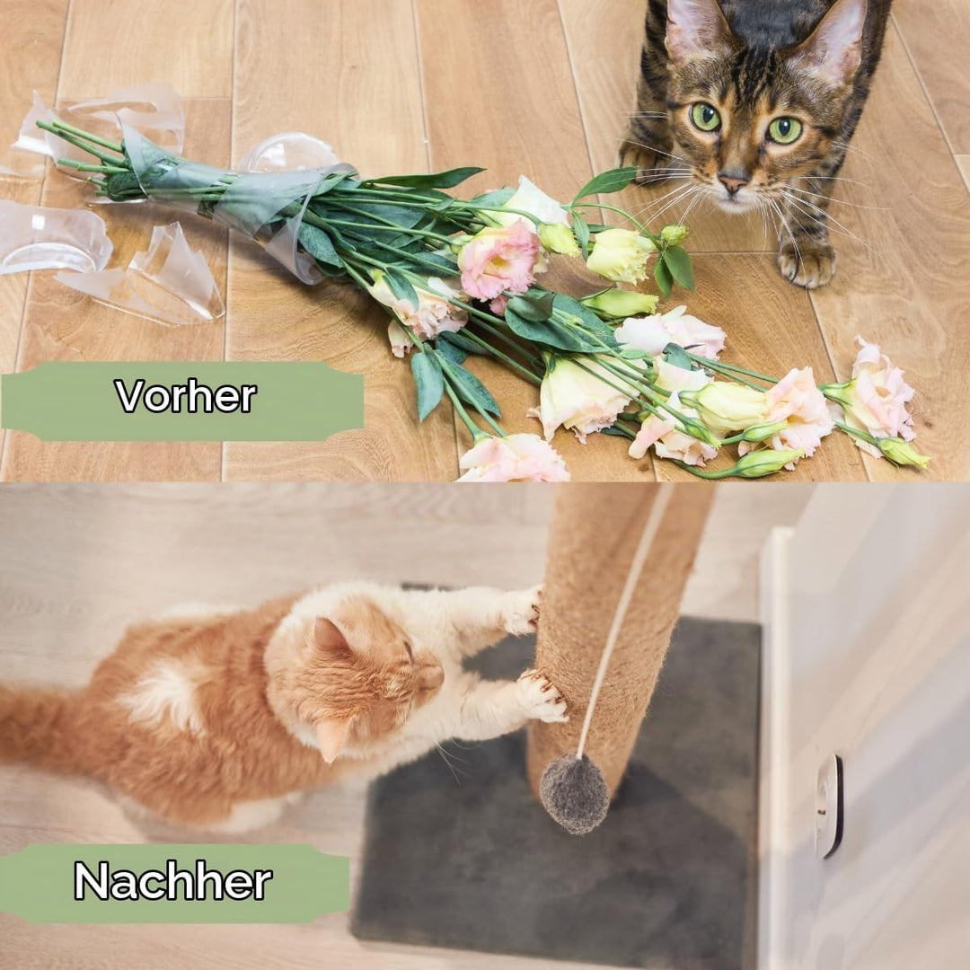 Mobiclinic® Pets, Kratzbaum, Modell Silvestre, Europäische Marke, Grösse: Medium, Zum Klettern, 3 Hö