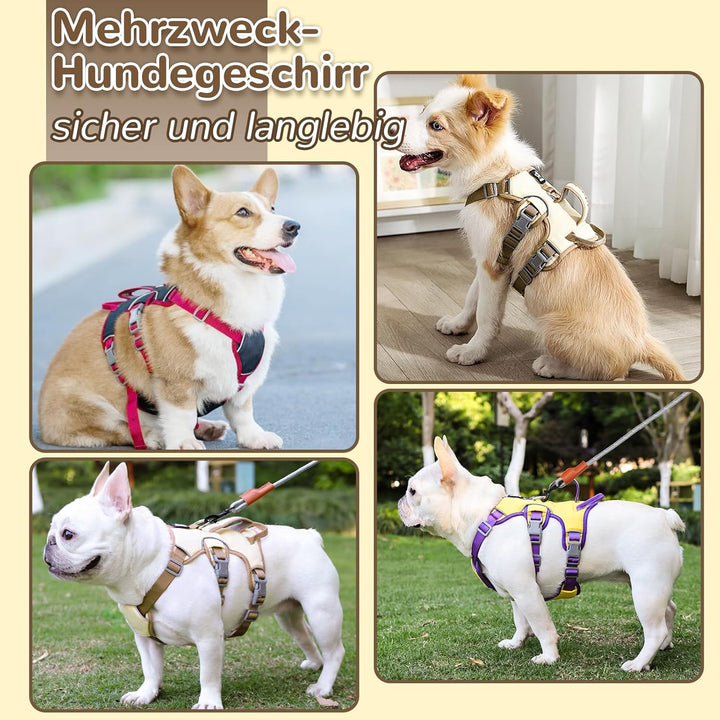 Mehrzweck-Hundegeschirr mit Leine Set, Ausbruchsicheres Anti Zug Hundegeschirr, Anti Zug Geschirr Hu