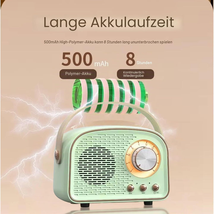 Garsent Retro BT -Lautsprecher, Kleiner Handheld Tragbares Vintage -Dekor für Home Outdoor DW21, 500