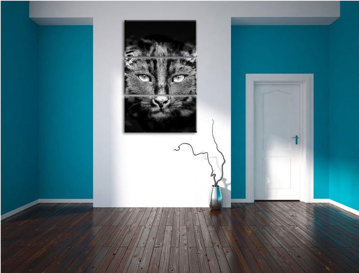 Pixxprint Monocrome, Dark schwarzes Katzengesicht 3-Teiler Leinwandbild 120x80 Bild auf Leinwand