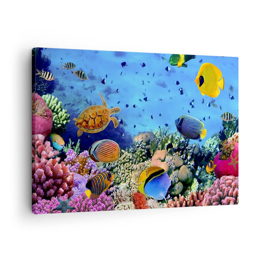 ARTTOR Bilder auf Leinwand Korallenriff Leinwandbild mit Rahmen 70x50cm Wandbilder Dekoration Wohnzi