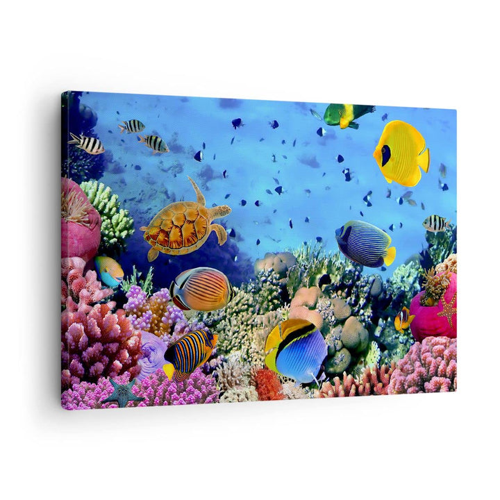 ARTTOR Bilder auf Leinwand Korallenriff Leinwandbild mit Rahmen 70x50cm Wandbilder Dekoration Wohnzi