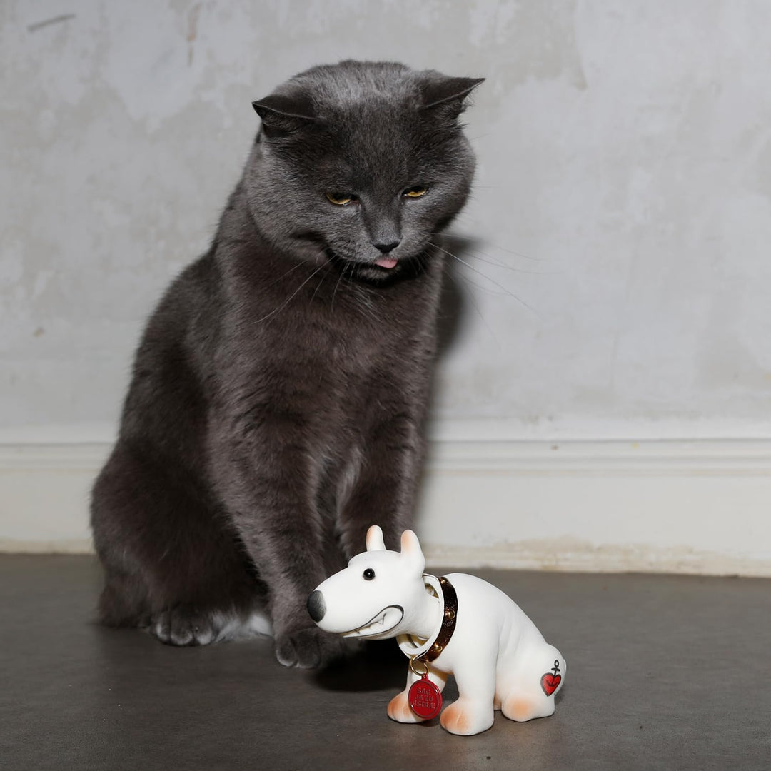 ASTRA Wackel-Bulli, witzige Bullterrier Figur mit Wackel-Kopf, Kleiner Pitbull als Geschenkidee für