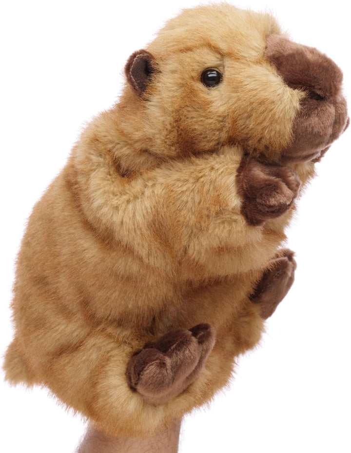 Uni-Toys - Handpuppe Capybara - 27 cm (Länge) - Plüschtier, Kuscheltier Capybara, 27 Cm, Capybara, 2