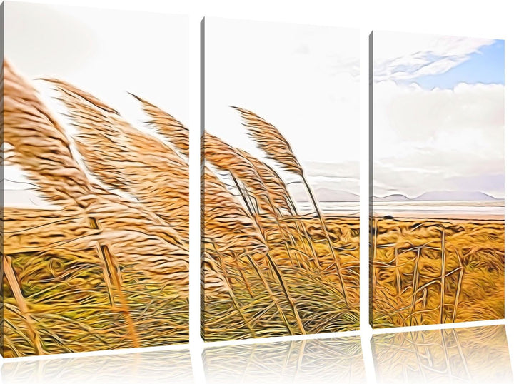 Schönes Schilf in den Dünen Spezial 3-Teiler Leinwandbild 120x80 Bild auf Leinwand, XXL riesige Bild