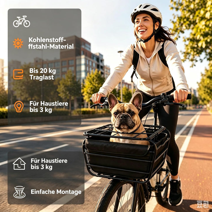 Fahrradkorb hinten aus Kohlenstoffstahl mit verschliessbarem Deckel