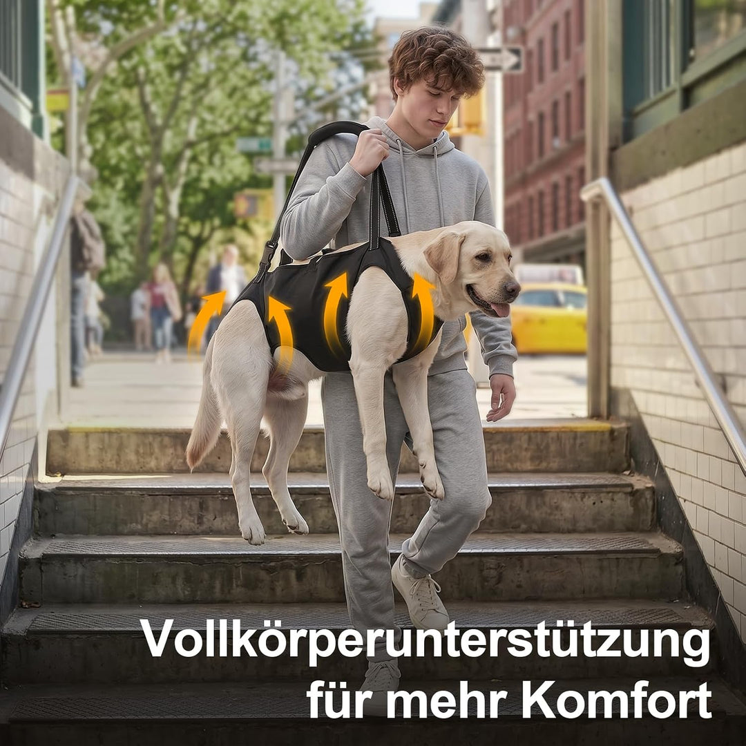 Tragehilfe Hund Gross mit Griffen Verstellbares Hundehebegeschirre, L | Treppenhilfe Hinterbeine Vor