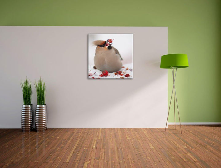 Kleiner Vogel im Schnee, Format: 70x70 auf Leinwand, XXL riesige Bilder fertig gerahmt mit Keilrahme