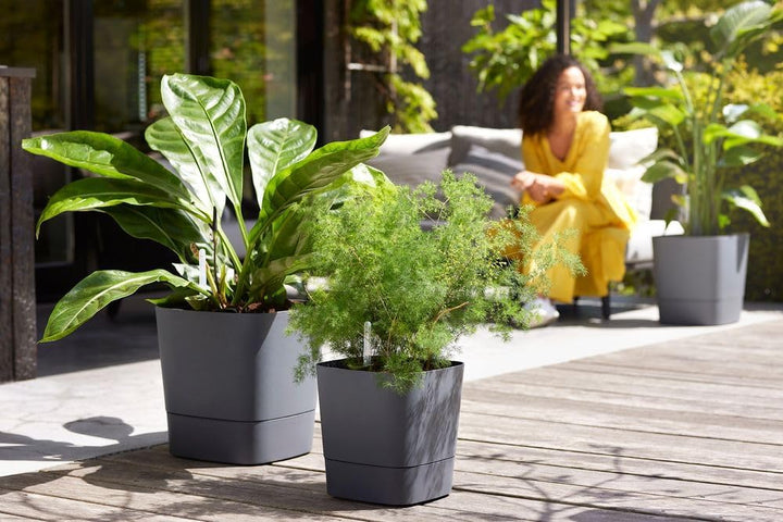 elho Greensense Aqua Care Quadrat 30 mit Integrierte Wasserspeicher - Blumentopf für Innen & Aussen