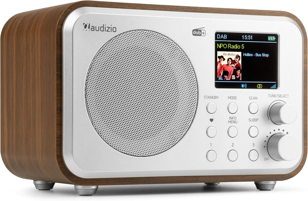 Audizio Milan DAB Radio mit Bluetooth, 10 Stunden Akku Radio 2000 mAh, Radiowecker mit Sleeptimer, L