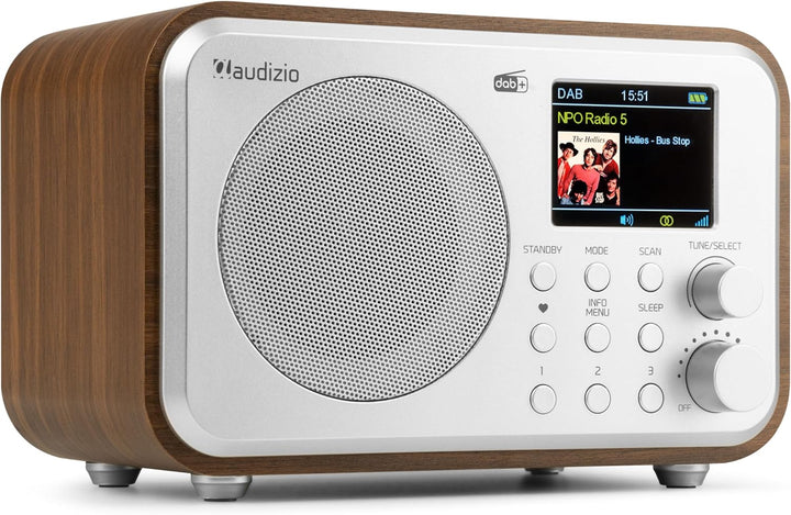 Audizio Milan DAB Radio mit Bluetooth, 10 Stunden Akku Radio 2000 mAh, Radiowecker mit Sleeptimer, L