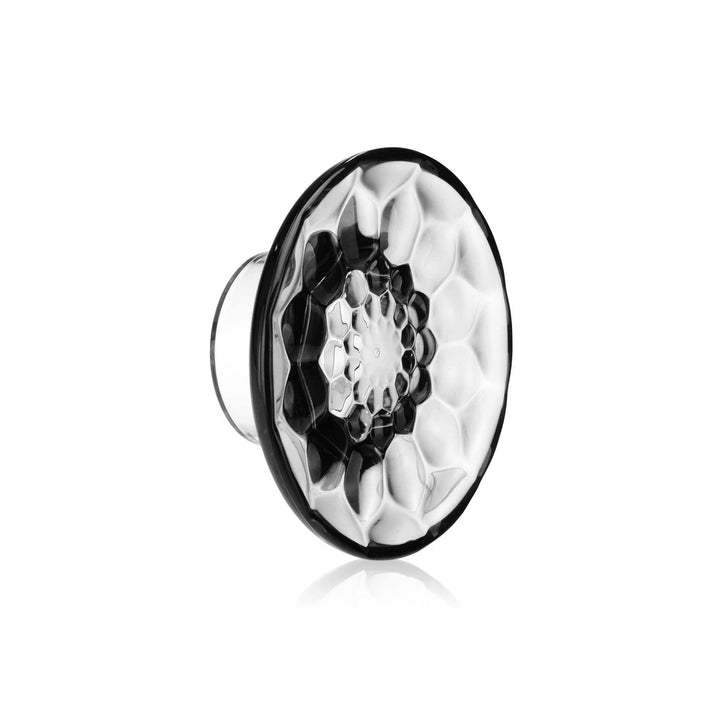 Kartell Jellies Coat Hangers, Für die Kleiderhaken, Mittel, Glasklar, 2 Stück Medio Cristallo, Medio
