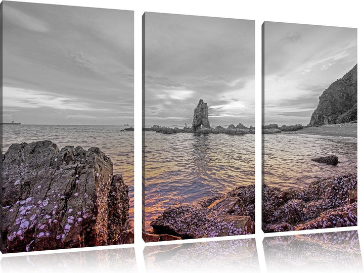 Pixxprint Küstenlinie mit schönen Sonnenuntergang B&W Detail 3-Teiler Leinwandbild 120x80 Bild auf L