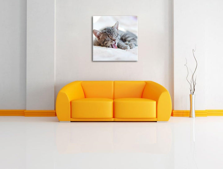 Kleines Kätzchen, Format: 70x70 auf Leinwand, XXL riesige Bilder fertig gerahmt mit Keilrahmen, Kuns