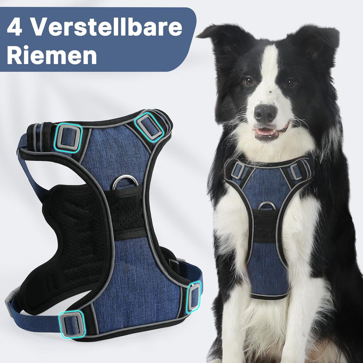 Demigreat Mittleres Hundegeschirr, Anti-Zug-Hundegeschirr mit Weich Gepolstertem Griff für das Train