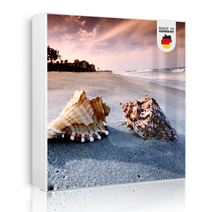 banjado Grosser Schlüsselkasten Glas - Schlüsselbox 30x30cm mit 50 Haken - Schlüsselkasten modern fü