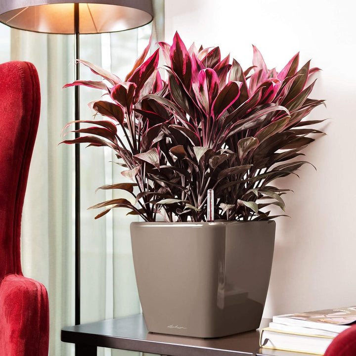 LECHUZA QUADRO Premium LS 28 silber metallic 16148 28x28x26 cm Silber Metallic, 28x28x26 cm Silber M