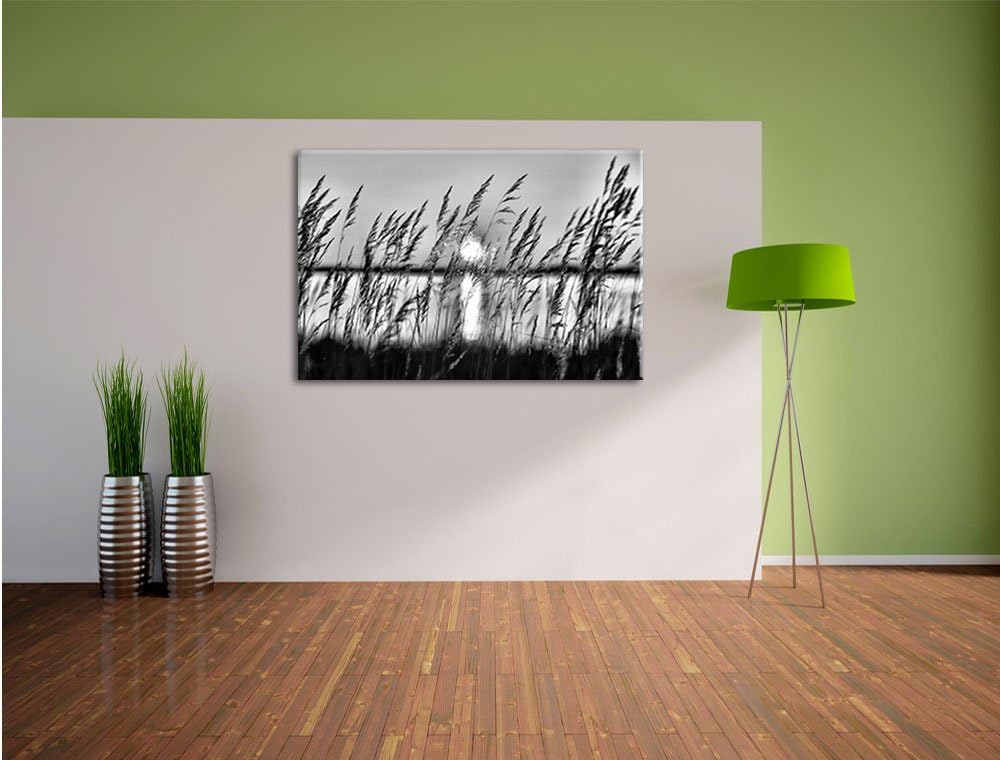 Pixxprint Sonne zwischen Gräsern / 100x70cm Leinwandbild bespannt auf Holzrahmen/Wandbild Kunstdruck