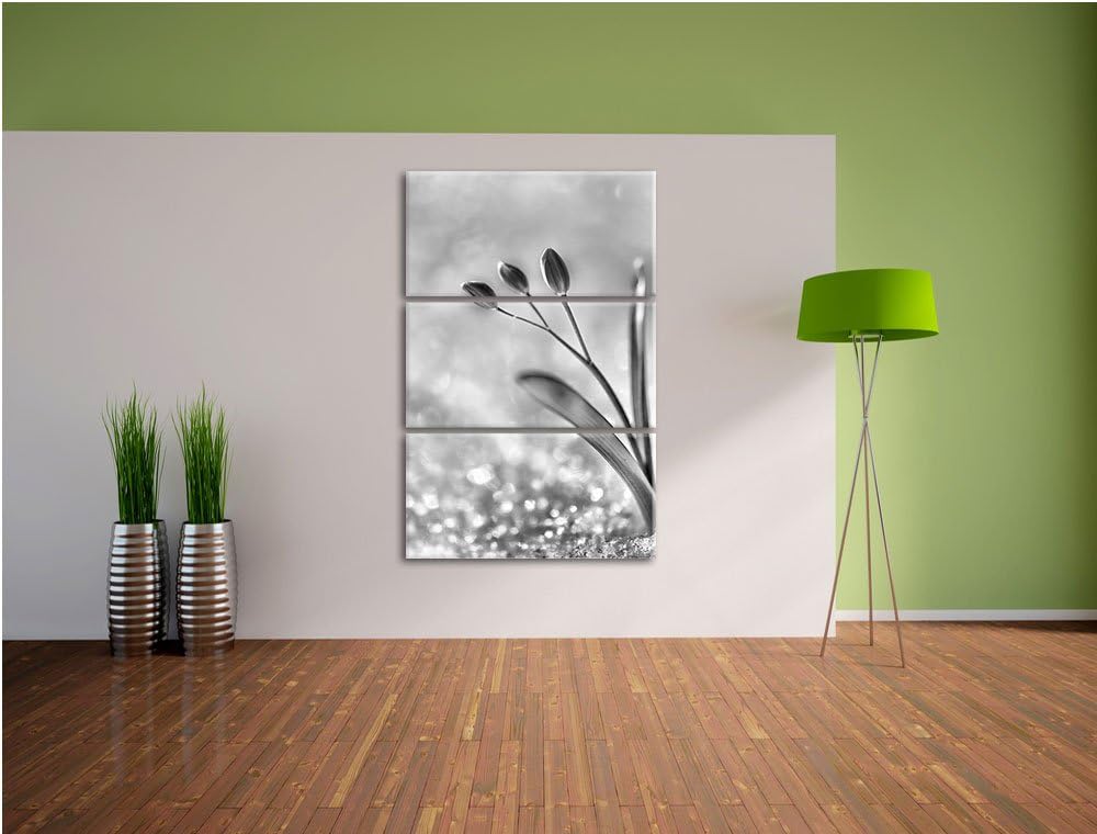 Pixxprint Monocrome, Blaue Knospen im Schnee 3-Teiler Leinwandbild 120x80 Bild auf Leinwand