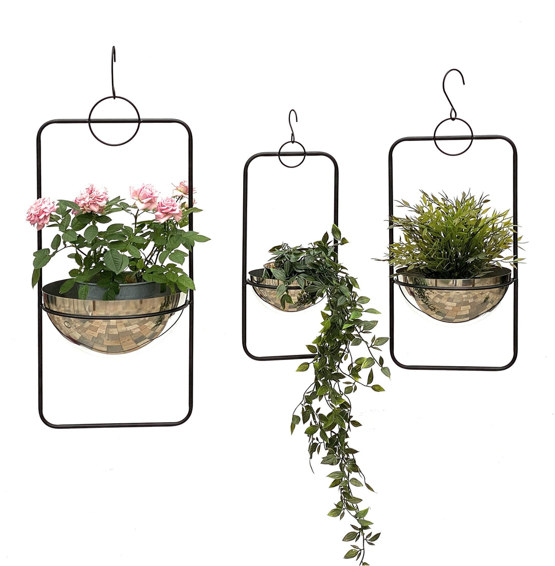 DanDiBo Blumenampel Innen Metall Wand Hängepflanzen 96083 3er Set mit Topf Silber Pflanzenhänger Blu