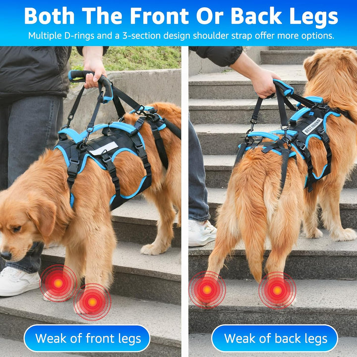 Hundelift-Geschirr für grosse Rüden - 2-in-1 abnehmbares Unterstützungsgeschirr für die Hinterbeine,
