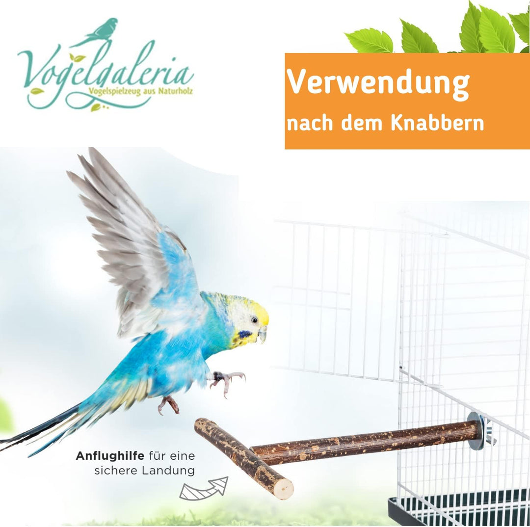 Vogelgaleria® Knabberparadies für Vögel - Ausgiebige Beschäftigung Wird durch diesen Vogelspielplatz