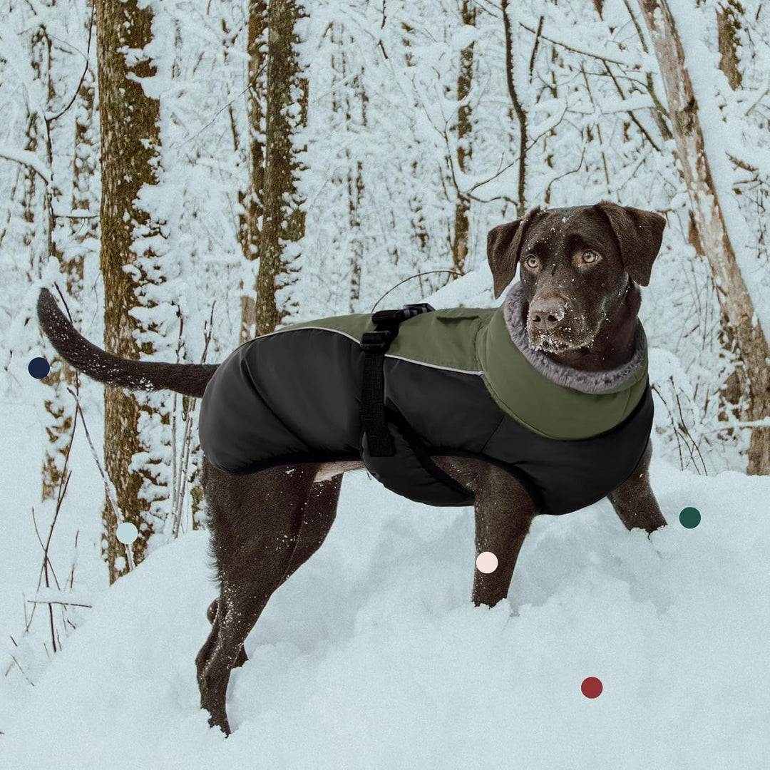 IECOii Hundemantel Winter,Warme Fleece Rollkragen Hundejacke,Wasserdicht Winterjacken Wintermäntel f